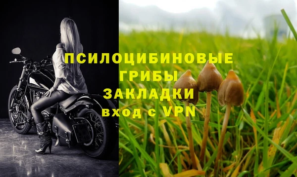 метадон Абаза