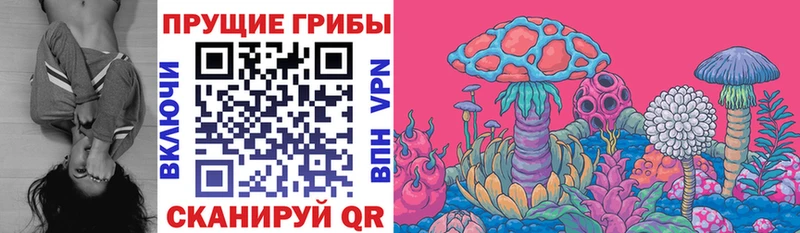 ссылка на мегу tor  Зея  нарко площадка состав  наркотики  Галлюциногенные грибы прущие грибы 